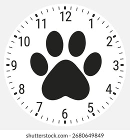 Cremation Same Day Service