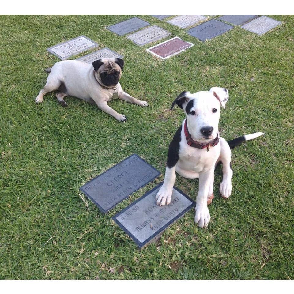 Burial-Services-Sorrento Valley Pet Cemetery
