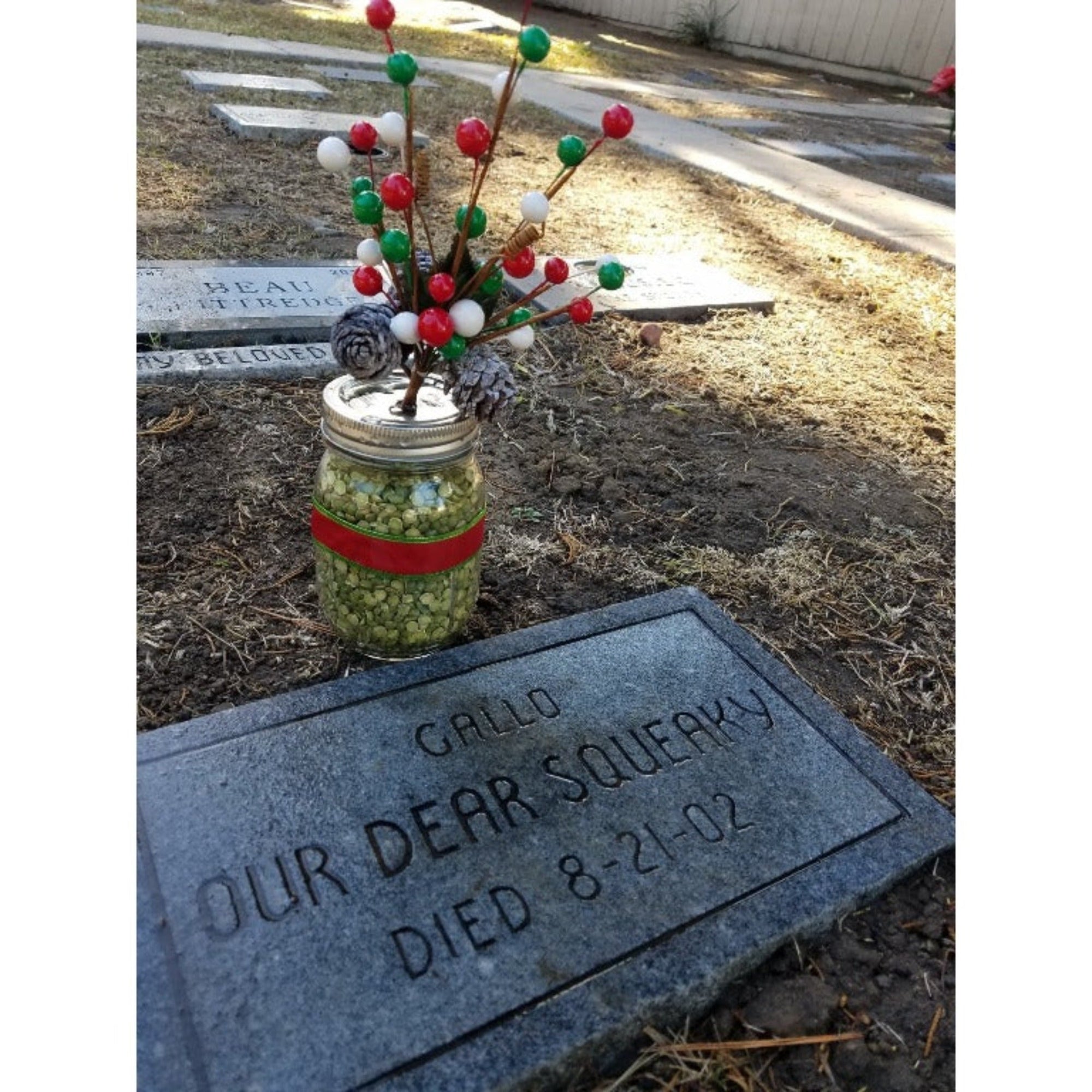 Holiday Plot Decoration-Holiday-Sorrento Valley Pet Cemetery