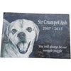 Engraving -Special Outsourced-Urns-Sorrento Valley Pet Cemetery